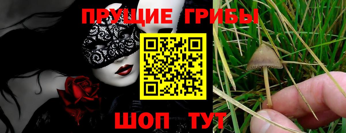 Минусинск  Псилоцибиновые грибы мухоморы  Вход с VPN 